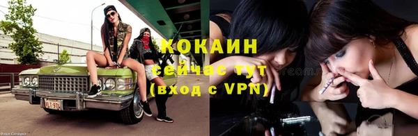 прущие крисы Абаза