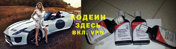 прущие крисы Абаза