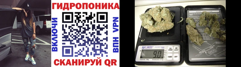 omg ONION  как найти закладки  Дмитровск  Канабис планчик 